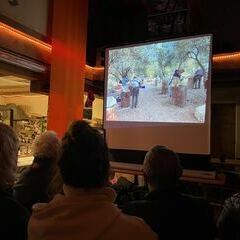 Arbeiten im Olivenhain in Patara