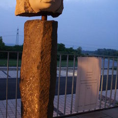 Cosmea in der kunsthalle messmer bis 12. Sept. 2010 Cosmea in der kunsthalle messmer bis 12. Sept. 2010