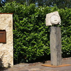 Cosmea im Grünen ! Cosmea im Grünen !