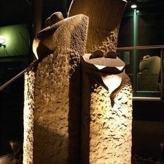 Nachtaufnahme Nachtaufnahme