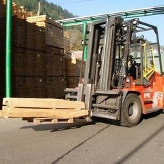 Der Eichenstamm auf den Weg in die Trockenkammer Der Eichenstamm auf den Weg in die Trockenkammer