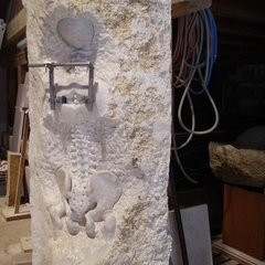 Wirbelsäule mit "Spreizer" Wirbelsäule mit "Spreizer"