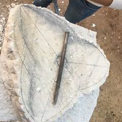 Zunächst wird aufgezeichnet