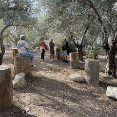Das Steineaussuchen beginnt