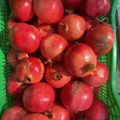 In dieser Jahreszeit unersätzliche Ernährung im Süden der Türkei: Granatapfel in flüssiger und fester Form