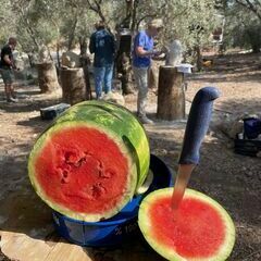 Wassermelone für alle :-))