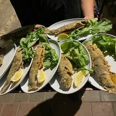 Und abends noch eine Runde Fisch