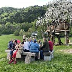 Der Kirschbaum über dem Baumhaus blüht zu dieser Zeit noch auf 720 m