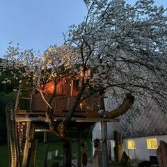 Das frisch sanierte Baumhaus zu Beginn der blauen Stunde :-)