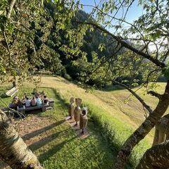 Der erste Abend. Blick vom Baumhaus.