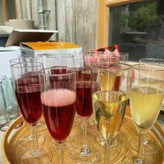 Der Apéro zur Vernissage: Crémant versus Crodino