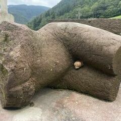 Ein lang schlummernder Torso hat die Aufmerksamkeit einer Schnecke gefunden :-)