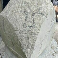 Erste Konturen werden sichtbar