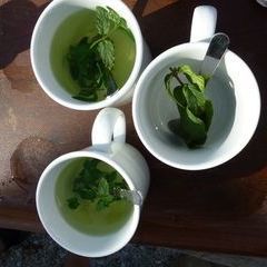 Zur Abwechslung mal Minzecay